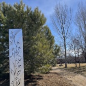 Perpetual Springtime